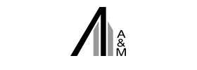 alvarezmarsal logo